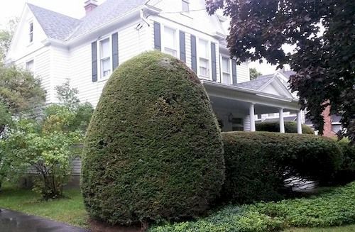 Park House Bed & Breakfast Johnson City Buitenkant foto